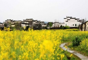 南昌庐山鄱阳湖石钟山景德镇婺源三清山双飞6日游（周一、周五、周六发团）